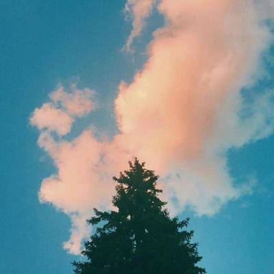 澳门4949资料免费大全app下载