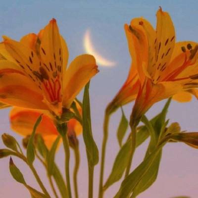 亚新综合平台·官方网站