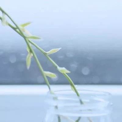 星空体育app下载app下载